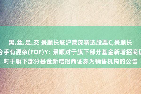 黑.丝.足.交 景顺长城沪港深精选股票C,景顺长城隽丰均衡养老三年合手有混杂(FOF)Y: 景顺对于旗下部分基金新增招商证券为销售机构的公告