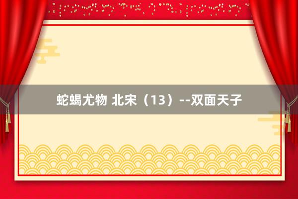蛇蝎尤物 北宋（13）--双面天子