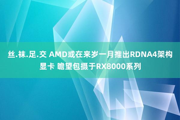 丝.袜.足.交 AMD或在来岁一月推出RDNA4架构显卡 瞻望包摄于RX8000系列