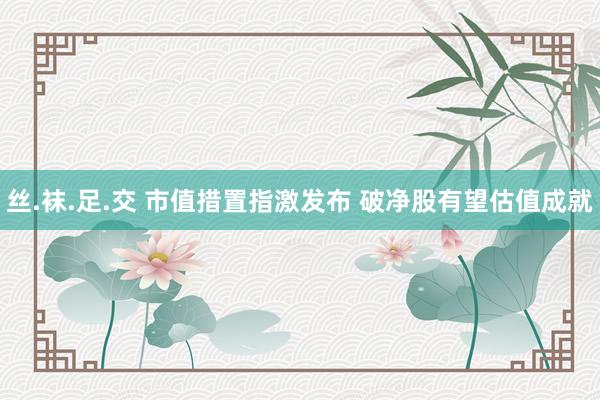 丝.袜.足.交 市值措置指激发布 破净股有望估值成就