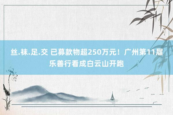 丝.袜.足.交 已募款物超250万元！广州第11届乐善行看成白云山开跑