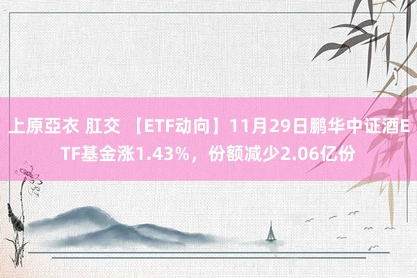 上原亞衣 肛交 【ETF动向】11月29日鹏华中证酒ETF基金涨1.43%,份额减少2.06亿份