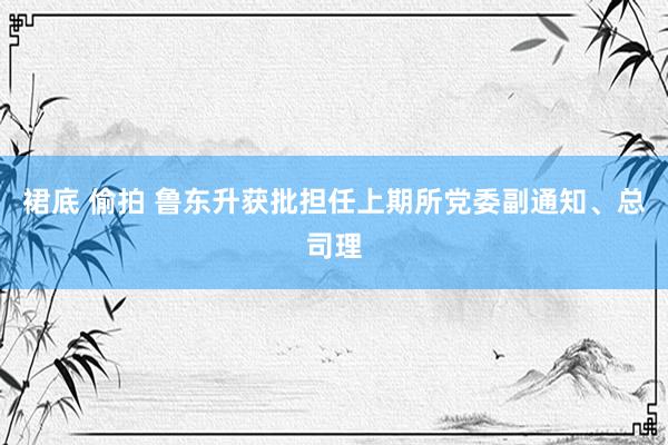 裙底 偷拍 鲁东升获批担任上期所党委副通知、总司理