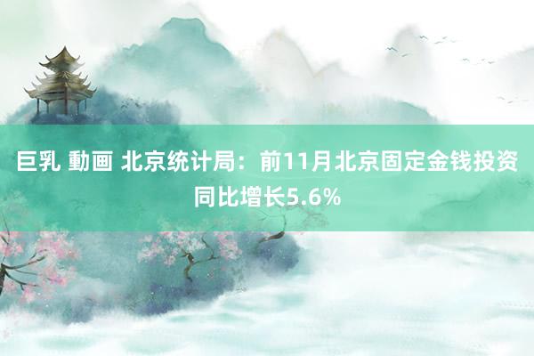 巨乳 動画 北京统计局：前11月北京固定金钱投资同比增长5.6%