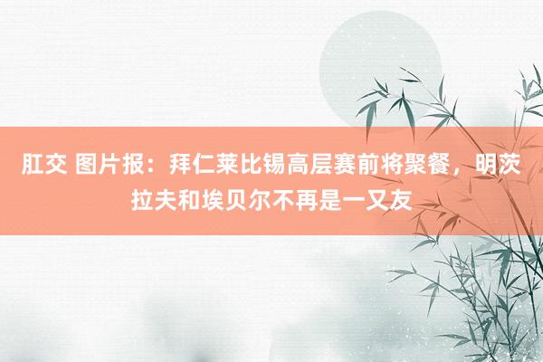 肛交 图片报：拜仁莱比锡高层赛前将聚餐，明茨拉夫和埃贝尔不再是一又友