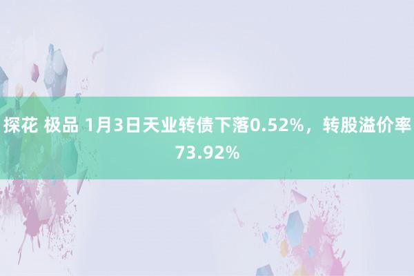 探花 极品 1月3日天业转债下落0.52%，转股溢价率73.92%