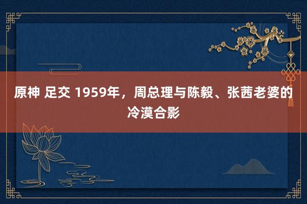 原神 足交 1959年，周总理与陈毅、张茜老婆的冷漠合影