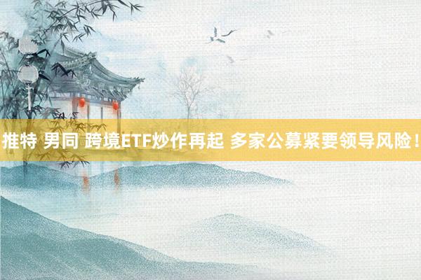 推特 男同 跨境ETF炒作再起 多家公募紧要领导风险！