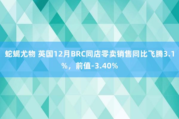 蛇蝎尤物 英国12月BRC同店零卖销售同比飞腾3.1%，前值-3.40%