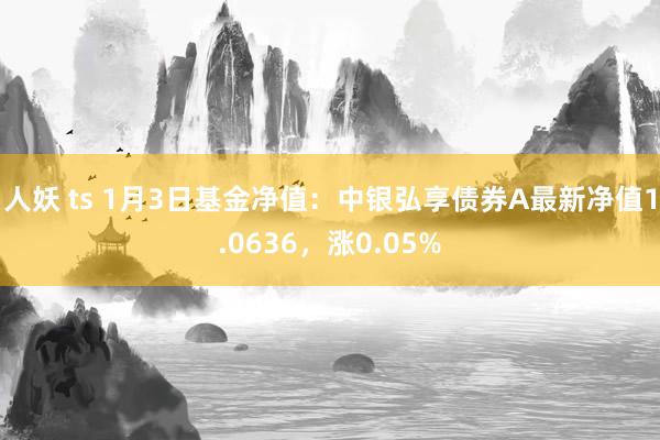 人妖 ts 1月3日基金净值：中银弘享债券A最新净值1.0636，涨0.05%