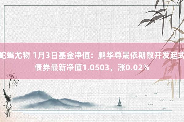 蛇蝎尤物 1月3日基金净值：鹏华尊晟依期敞开发起式债券最新净值1.0503，涨0.02%