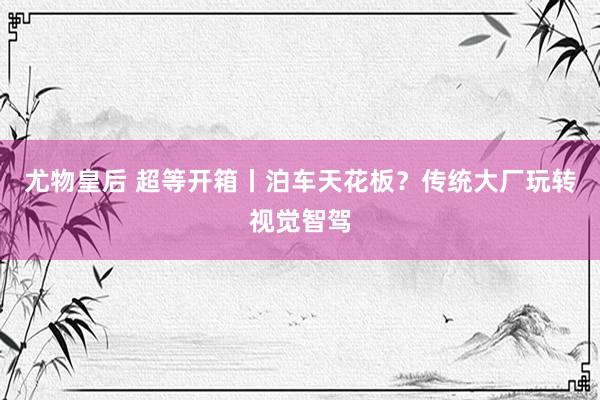 尤物皇后 超等开箱丨泊车天花板？传统大厂玩转视觉智驾