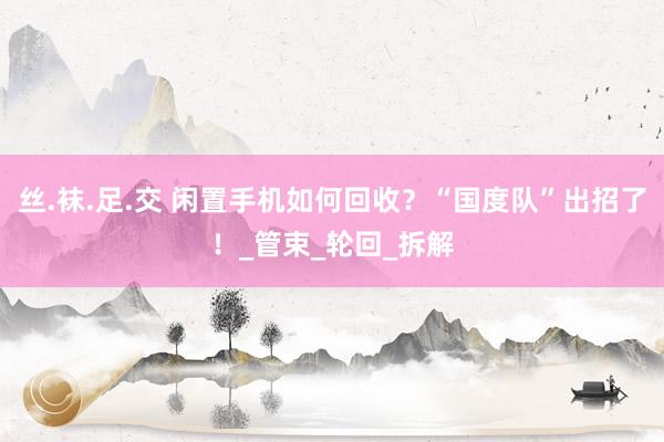 丝.袜.足.交 闲置手机如何回收？“国度队”出招了！_管束_轮回_拆解
