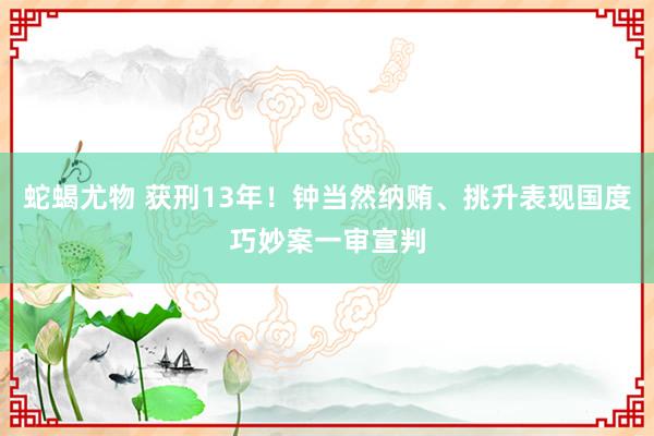 蛇蝎尤物 获刑13年！钟当然纳贿、挑升表现国度巧妙案一审宣判