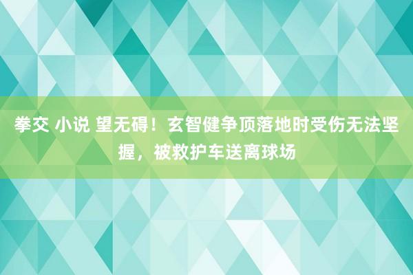 拳交 小说 望无碍！玄智健争顶落地时受伤无法坚握，被救护车送离球场