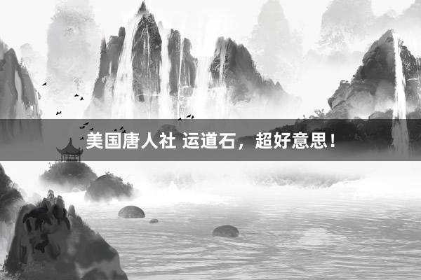 美国唐人社 运道石，超好意思！